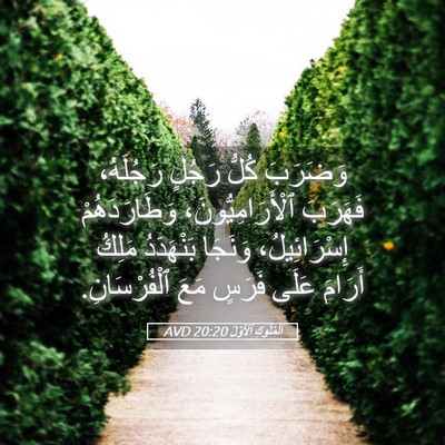 Picture 05 - اَلْمُلُوكِ ٱلْأَوَّلُ 20:20 AVD - وَضَرَبَ كُلُّ رَجُلٍ - Bible Verse Picture