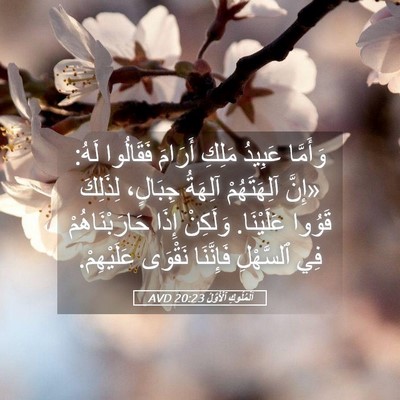 Picture 05 - اَلْمُلُوكِ ٱلْأَوَّلُ 20:23 AVD - وَأَمَّا عَبِيدُ مَلِكِ - Bible Verse Picture