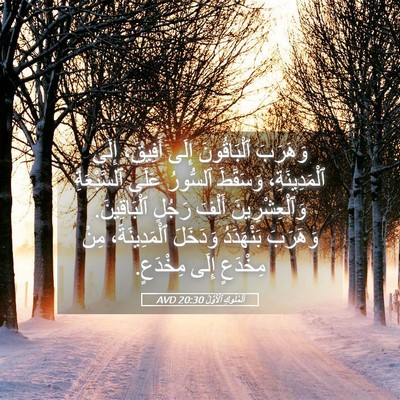Picture 05 - اَلْمُلُوكِ ٱلْأَوَّلُ 20:30 AVD - وَهَرَبَ ٱلْبَاقُونَ - Bible Verse Picture