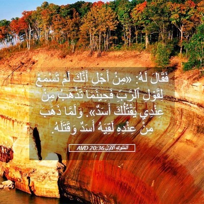 Picture 05 - اَلْمُلُوكِ ٱلْأَوَّلُ 20:36 AVD - فَقَالَ لَهُ: «مِنْ أَجْلِ - Bible Verse Picture