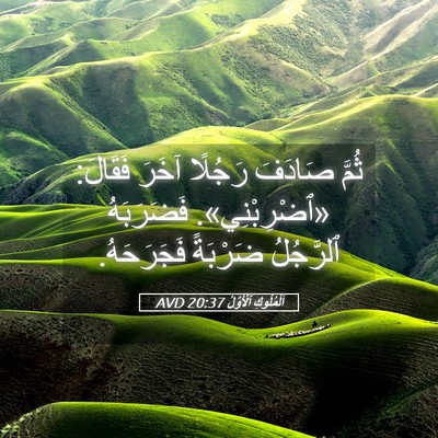 Picture 05 - اَلْمُلُوكِ ٱلْأَوَّلُ 20:37 AVD - ثُمَّ صَادَفَ رَجُلًا - Bible Verse Picture