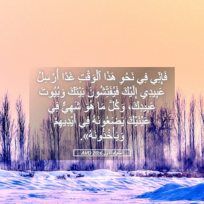 Picture 05 - اَلْمُلُوكِ ٱلْأَوَّلُ 20:6 AVD - فَإِنِّي فِي نَحْوِ هَذَا - Bible Verse Picture