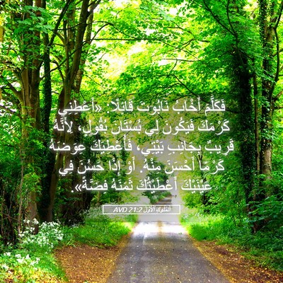 Picture 05 - اَلْمُلُوكِ ٱلْأَوَّلُ 21:2 AVD - فَكَلَّمَ أَخْآبُ - Bible Verse Picture