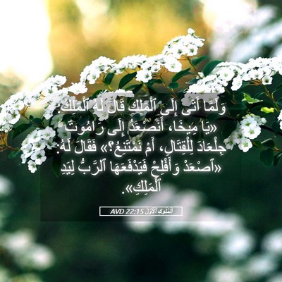 Picture 05 - اَلْمُلُوكِ ٱلْأَوَّلُ 22:15 AVD - وَلَمَّا أَتَى إِلَى - Bible Verse Picture