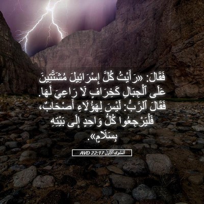 Picture 05 - اَلْمُلُوكِ ٱلْأَوَّلُ 22:17 AVD - فَقَالَ: «رَأَيْتُ كُلَّ - Bible Verse Picture