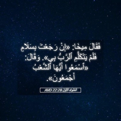 Picture 05 - اَلْمُلُوكِ ٱلْأَوَّلُ 22:28 AVD - فَقَالَ مِيخَا: «إِنْ - Bible Verse Picture