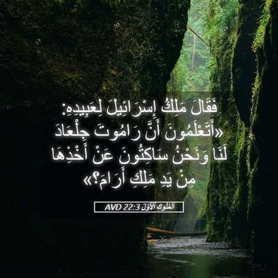 Picture 05 - اَلْمُلُوكِ ٱلْأَوَّلُ 22:3 AVD - فَقَالَ مَلِكُ - Bible Verse Picture