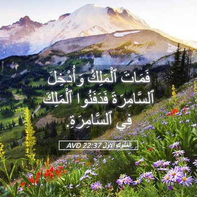 Picture 05 - اَلْمُلُوكِ ٱلْأَوَّلُ 22:37 AVD - فَمَاتَ ٱلْمَلِكُ - Bible Verse Picture