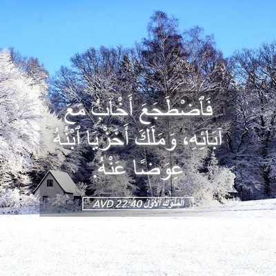 Picture 05 - اَلْمُلُوكِ ٱلْأَوَّلُ 22:40 AVD - فَٱضْطَجَعَ أَخْآبُ مَعَ - Bible Verse Picture