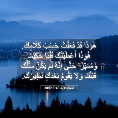 Picture 05 - اَلْمُلُوكِ ٱلْأَوَّلُ 3:12 AVD - هُوَذَا قَدْ فَعَلْتُ - Bible Verse Picture