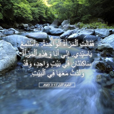 Picture 05 - اَلْمُلُوكِ ٱلْأَوَّلُ 3:17 AVD - فَقَالَتِ ٱلْمَرْأَةُ - Bible Verse Picture