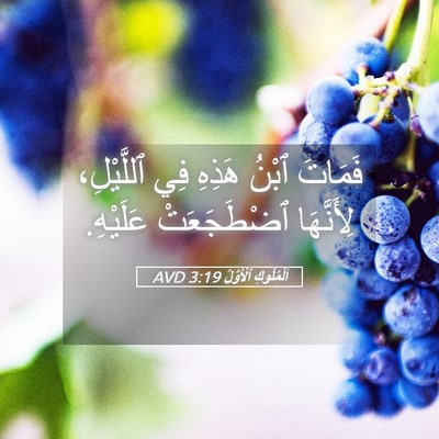 Picture 05 - اَلْمُلُوكِ ٱلْأَوَّلُ 3:19 AVD - فَمَاتَ ٱبْنُ هَذِهِ فِي - Bible Verse Picture