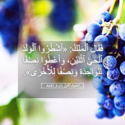 Picture 05 - اَلْمُلُوكِ ٱلْأَوَّلُ 3:25 AVD - فَقَالَ ٱلْمَلِكُ: - Bible Verse Picture