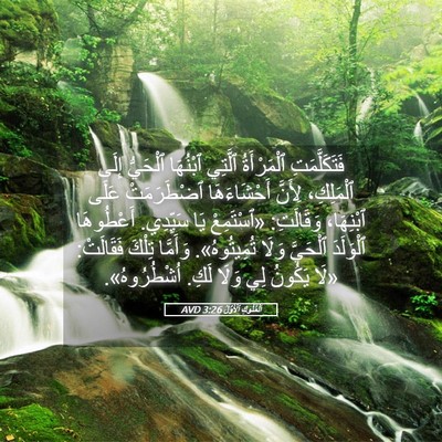 Picture 05 - اَلْمُلُوكِ ٱلْأَوَّلُ 3:26 AVD - فَتَكَلَّمَتِ ٱلْمَرْأَةُ - Bible Verse Picture