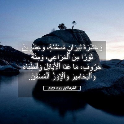 Picture 05 - اَلْمُلُوكِ ٱلْأَوَّلُ 4:23 AVD - وَعَشْرَةَ ثِيرَانٍ - Bible Verse Picture