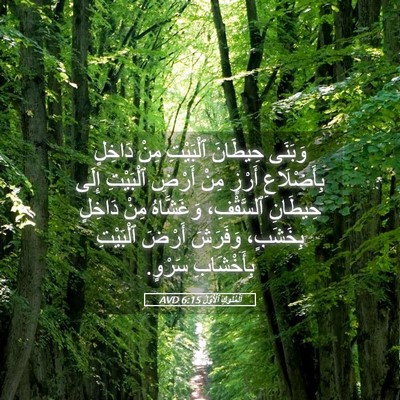 Picture 05 - اَلْمُلُوكِ ٱلْأَوَّلُ 6:15 AVD - وَبَنَى حِيطَانَ - Bible Verse Picture