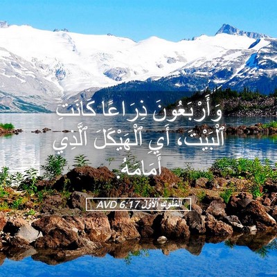 Picture 05 - اَلْمُلُوكِ ٱلْأَوَّلُ 6:17 AVD - وَأَرْبَعُونَ ذِرَاعًا - Bible Verse Picture