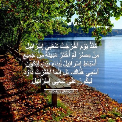 Picture 05 - اَلْمُلُوكِ ٱلْأَوَّلُ 8:16 AVD - مُنْذُ يَوْمَ أَخْرَجْتُ - Bible Verse Picture