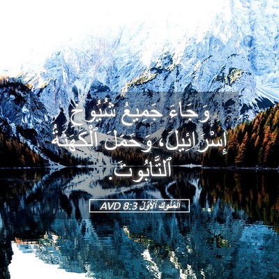 Picture 05 - اَلْمُلُوكِ ٱلْأَوَّلُ 8:3 AVD - وَجَاءَ جَمِيعُ شُيُوخِ - Bible Verse Picture