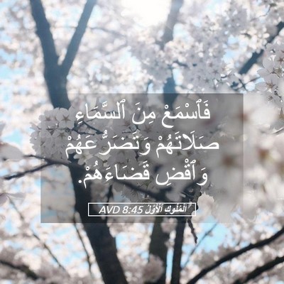 Picture 05 - اَلْمُلُوكِ ٱلْأَوَّلُ 8:45 AVD - فَٱسْمَعْ مِنَ ٱلسَّمَاءِ - Bible Verse Picture