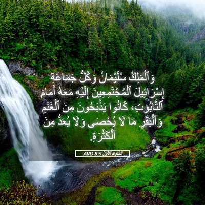 Picture 05 - اَلْمُلُوكِ ٱلْأَوَّلُ 8:5 AVD - وَٱلْمَلِكُ سُلَيْمَانُ - Bible Verse Picture