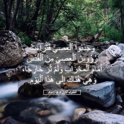 Picture 05 - اَلْمُلُوكِ ٱلْأَوَّلُ 8:8 AVD - وَجَذَبُوا ٱلْعِصِيَّ - Bible Verse Picture