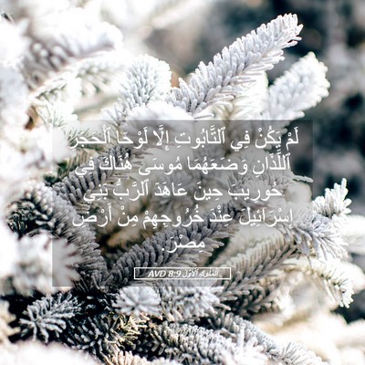 Picture 05 - اَلْمُلُوكِ ٱلْأَوَّلُ 8:9 AVD - لَمْ يَكُنْ فِي - Bible Verse Picture