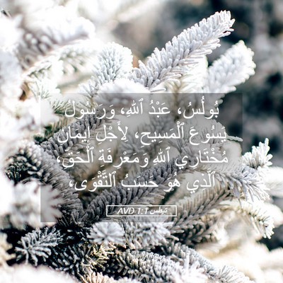 Picture 05 - تِيطُس 1:1 AVD - بُولُسُ، عَبْدُ ٱللهِ، - Bible Verse Picture