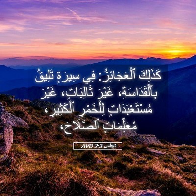 Picture 05 - تِيطُس 2:3 AVD - كَذَلِكَ ٱلْعَجَائِزُ: فِي - Bible Verse Picture