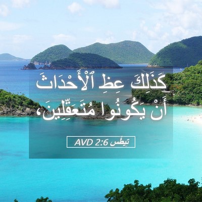 Picture 05 - تِيطُس 2:6 AVD - كَذَلِكَ عِظِ - Bible Verse Picture