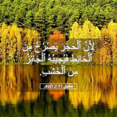 Picture 05 - حَبَقُّوق 2:11 AVD - لِأَنَّ ٱلْحَجَرَ - Bible Verse Picture