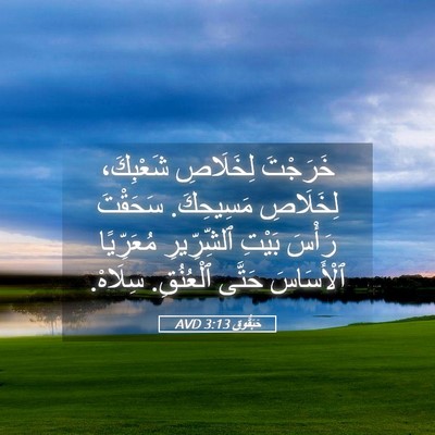 Picture 05 - حَبَقُّوق 3:13 AVD - خَرَجْتَ لِخَلَاصِ - Bible Verse Picture