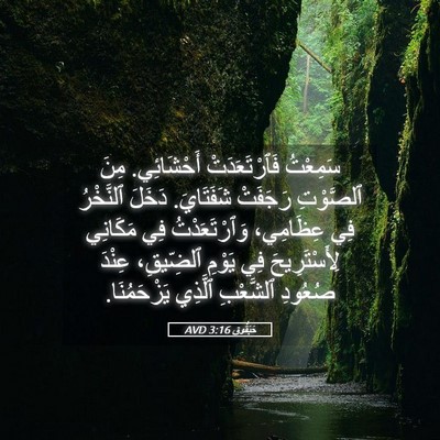 Picture 05 - حَبَقُّوق 3:16 AVD - سَمِعْتُ فَٱرْتَعَدَتْ - Bible Verse Picture