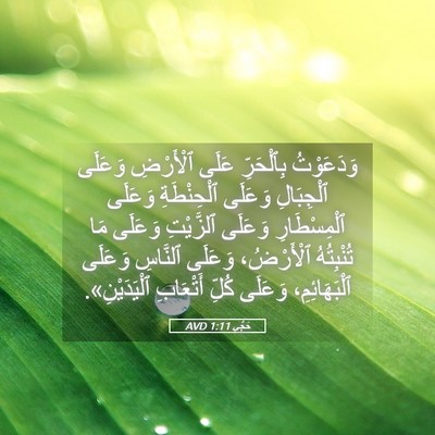 Picture 05 - حَجَّي 1:11 AVD - وَدَعَوْتُ بِٱلْحَرِّ - Bible Verse Picture