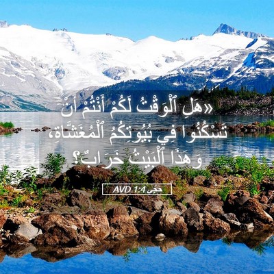 Picture 05 - حَجَّي 1:4 AVD - «هَلِ ٱلْوَقْتُ لَكُمْ - Bible Verse Picture