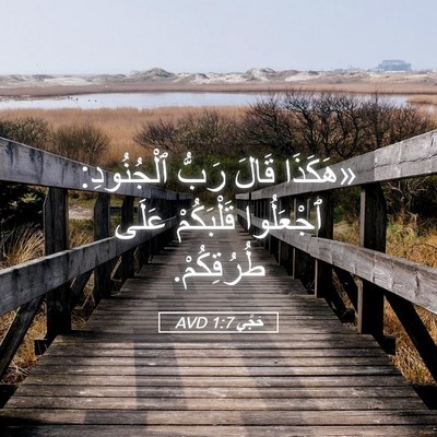 Picture 05 - حَجَّي 1:7 AVD - «هَكَذَا قَالَ رَبُّ - Bible Verse Picture