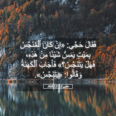Picture 05 - حَجَّي 2:13 AVD - فَقَالَ حَجَّي: «إِنْ - Bible Verse Picture