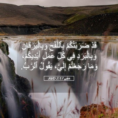 Picture 05 - حَجَّي 2:17 AVD - قَدْ ضَرَبْتُكُمْ - Bible Verse Picture