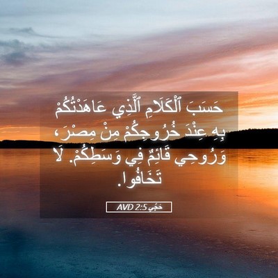 Picture 05 - حَجَّي 2:5 AVD - حَسَبَ ٱلْكَلَامِ ٱلَّذِي - Bible Verse Picture