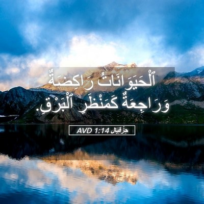 Picture 05 - حِزْقِيَال 1:14 AVD - ٱلْحَيَوَانَاتُ رَاكِضَةٌ - Bible Verse Picture