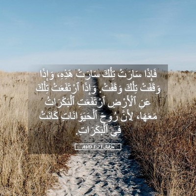 Picture 05 - حِزْقِيَال 1:21 AVD - فَإِذَا سَارَتْ تِلْكَ - Bible Verse Picture