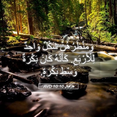 Picture 05 - حِزْقِيَال 10:10 AVD - وَمَنْظَرُهُنَّ شَكْلٌ - Bible Verse Picture