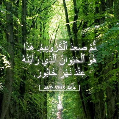 Picture 05 - حِزْقِيَال 10:15 AVD - ثُمَّ صَعِدَ - Bible Verse Picture