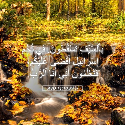 Picture 05 - حِزْقِيَال 11:10 AVD - بِٱلسَّيْفِ تَسْقُطُونَ. - Bible Verse Picture
