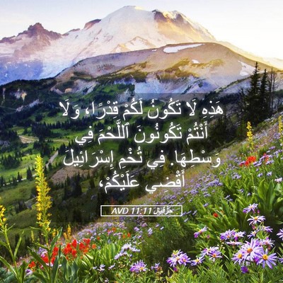 Picture 05 - حِزْقِيَال 11:11 AVD - هَذِهِ لَا تَكُونُ لَكُمْ - Bible Verse Picture