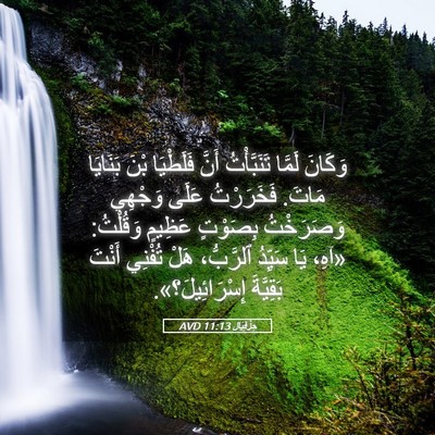 Picture 05 - حِزْقِيَال 11:13 AVD - وَكَانَ لَمَّا - Bible Verse Picture