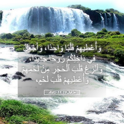 Picture 05 - حِزْقِيَال 11:19 AVD - وَأُعْطِيهِمْ قَلْبًا - Bible Verse Picture