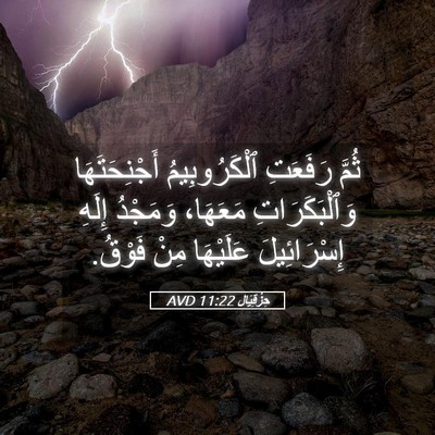 Picture 05 - حِزْقِيَال 11:22 AVD - ثُمَّ رَفَعَتِ - Bible Verse Picture