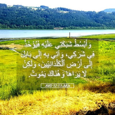 Picture 05 - حِزْقِيَال 12:13 AVD - وَأَبْسُطُ شَبَكَتِي - Bible Verse Picture