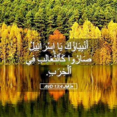 Picture 05 - حِزْقِيَال 13:4 AVD - أَنْبِيَاؤُكَ يَا - Bible Verse Picture